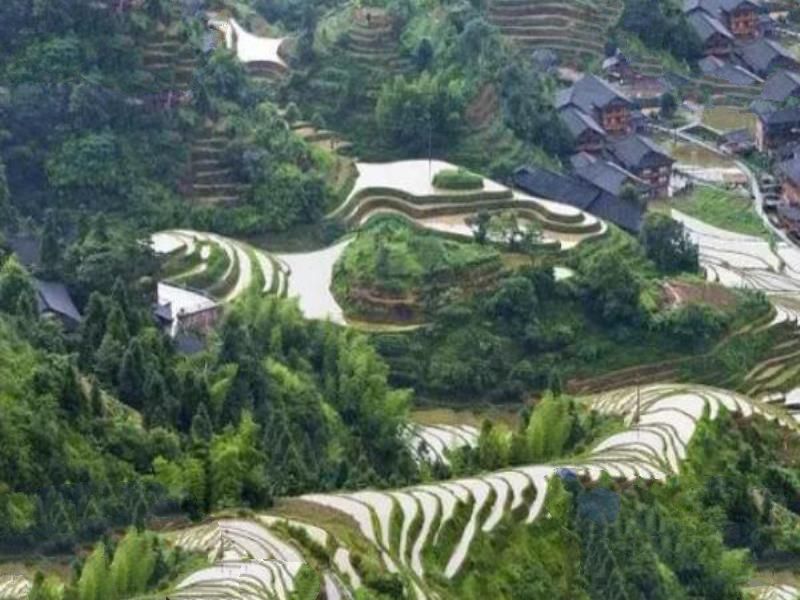 国内最美十大梯田，龙脊梯田上榜，第一进入了世界遗产名录
