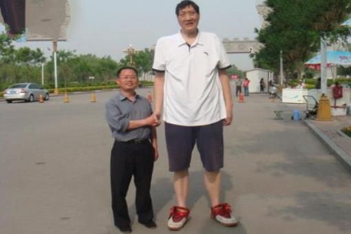 中国十大巨人排行榜