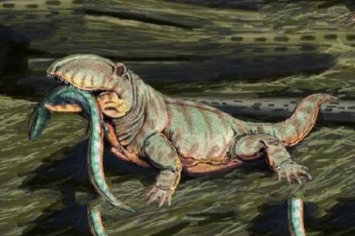 石炭纪十大恐怖生物 揭晓石炭纪生物大灭绝真相