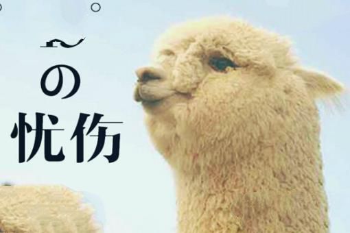 世界上最重的马排行榜，英国夏尔马635公斤（荣登榜首）