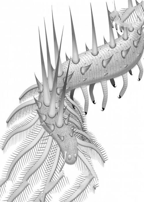 寒武纪十大恐怖生物：奇虾成地球霸主 恐龙是它晚辈