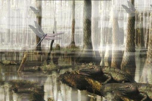 石炭纪十大恐怖生物 揭晓石炭纪生物大灭绝真相