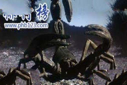 泥盆纪十大恐怖生物 揭开泥盆纪生物大灭绝的原因