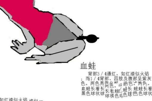 世界上唯一会咬人的青蛙,食人蛙（一切源自于环境污染）