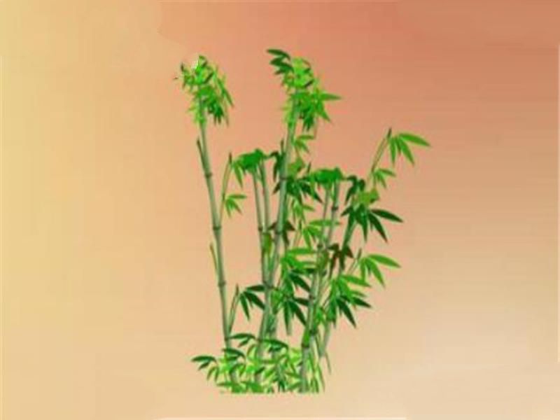 混沌十大灵根排行榜 人参果无人不知，第三据说曾灵力无敌