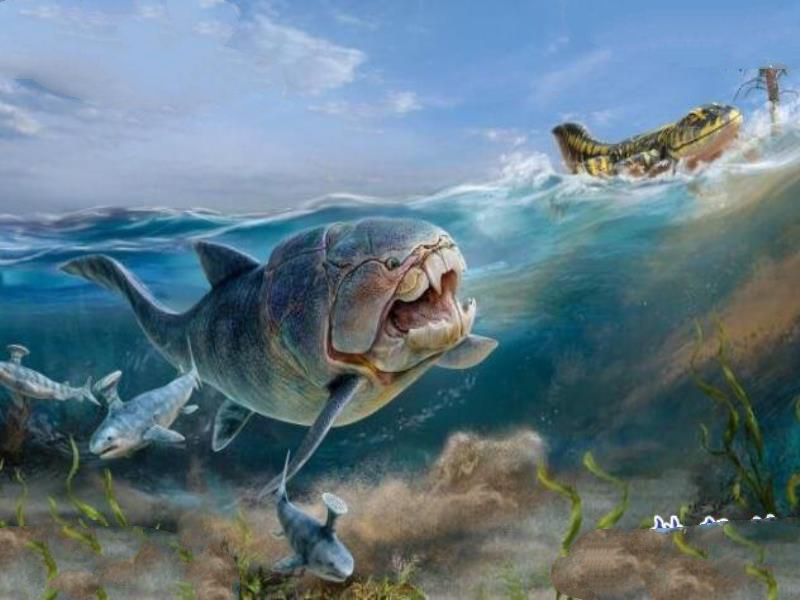 泥盆纪十大恐怖生物 揭开泥盆纪生物大灭绝的原因