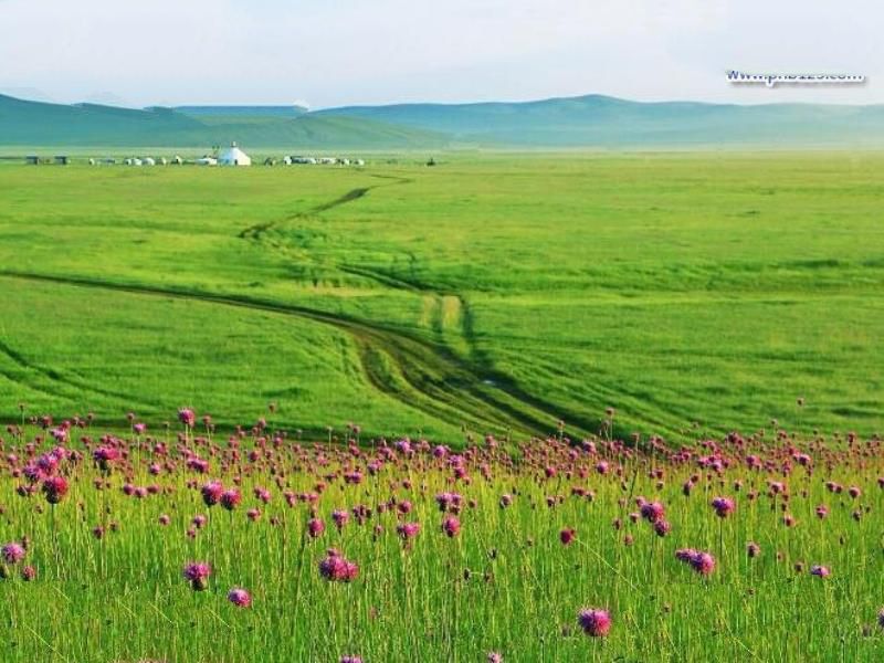 中国四大草原，呼伦贝尔大草原是民族大融合的象征