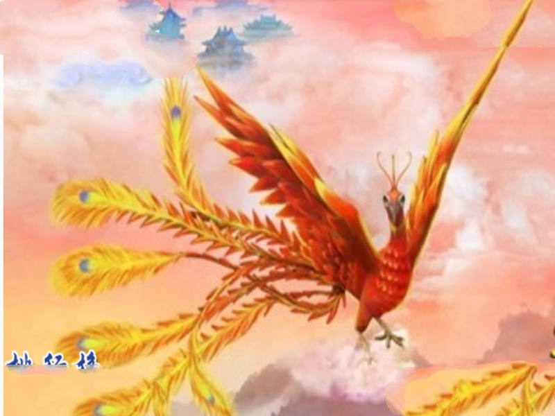 上古四大神兽：青龙、白虎、玄武、朱雀（附图片）