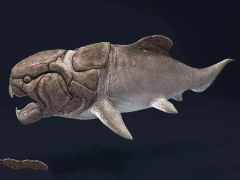 世界十大凶猛古生物 这些史前猛兽，你认识哪些