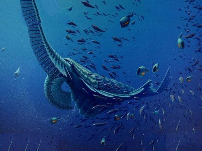 寒武纪十大恐怖生物：奇虾成地球霸主 恐龙是它晚辈