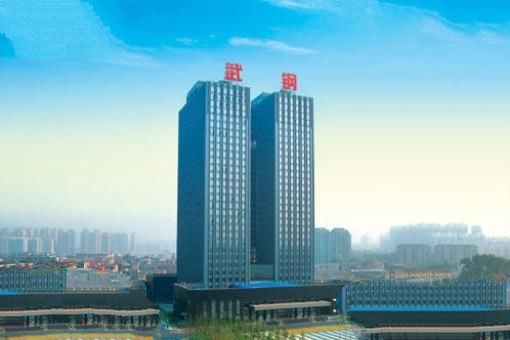 中国最大的钢铁企业：两大巨头重组成宝武钢铁