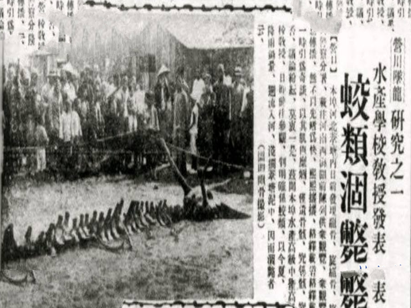 营口坠龙事件