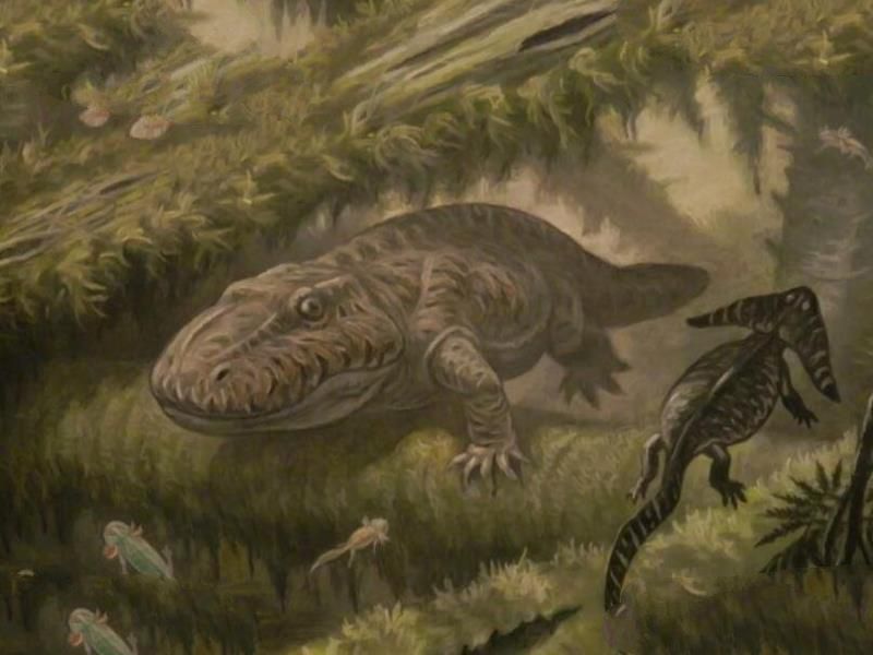 石炭纪十大恐怖生物 揭晓石炭纪生物大灭绝真相