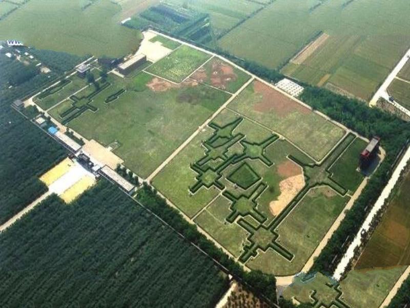 中国古墓十大无价之宝 震惊世界的中国十大考古发现