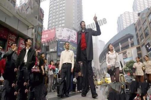 中国十大巨人排行榜