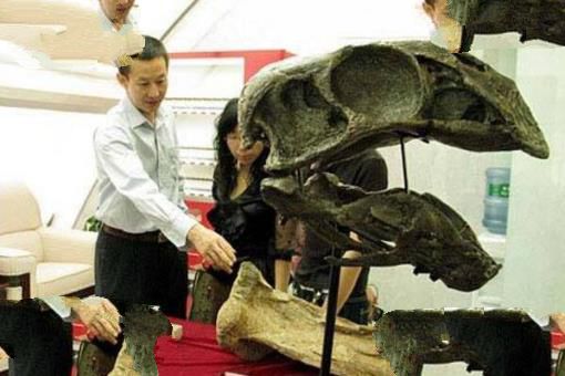世界上最大的恐龙化石：泰坦巨龙身长40米重77吨(相当于14头大象)