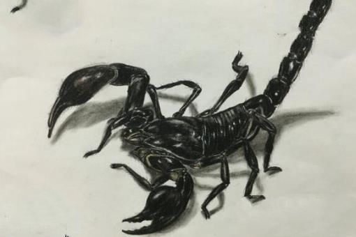 杀不死的十大生物，面对核武器都鄙夷不屑