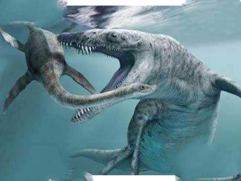 世界十大凶猛古生物 这些史前猛兽，你认识哪些