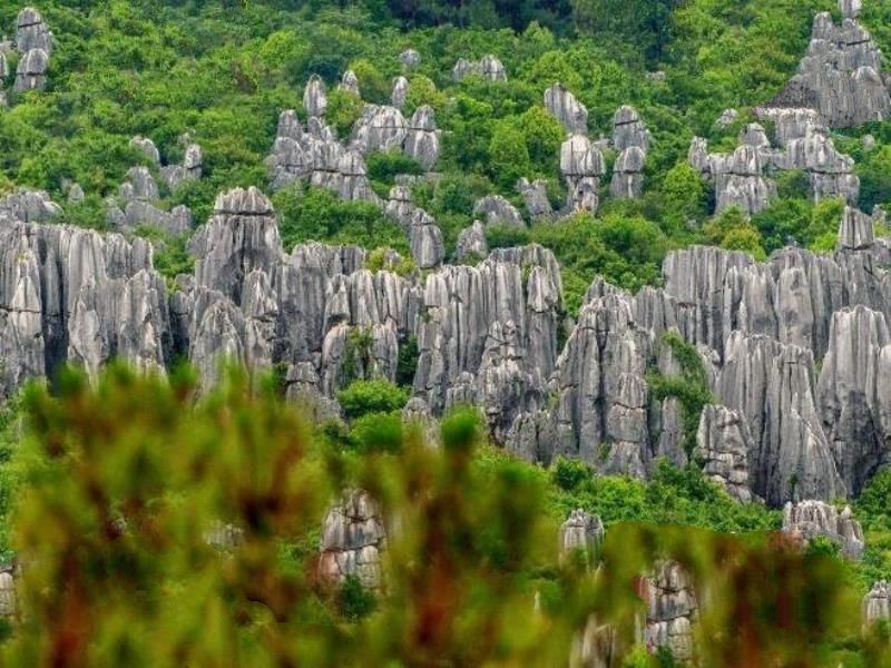 中国四大奇观：吉林雾凇、桂林山水、云南石林、长江三峡
