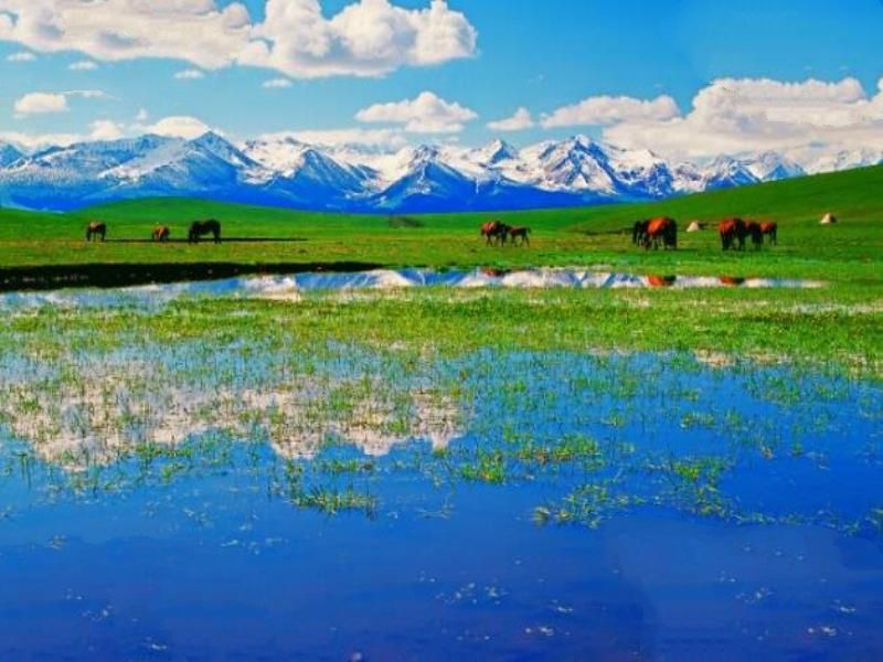 中国四大草原，呼伦贝尔大草原是民族大融合的象征