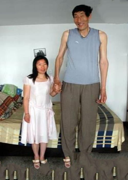 中国十大巨人排行榜