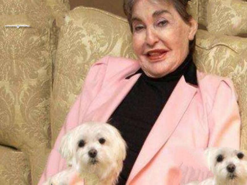 世界上最有钱的宠物：牧羊犬冈瑟四世（身家25亿人民币）