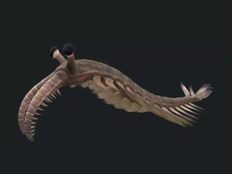 世界十大灭绝生物 史前生物霸王龙上榜，你认识几个