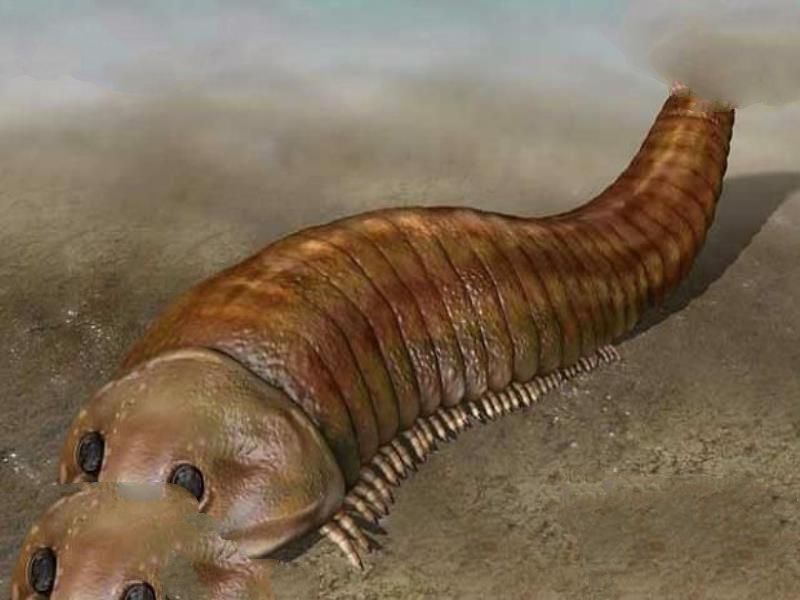 寒武纪十大恐怖生物：奇虾成地球霸主 恐龙是它晚辈