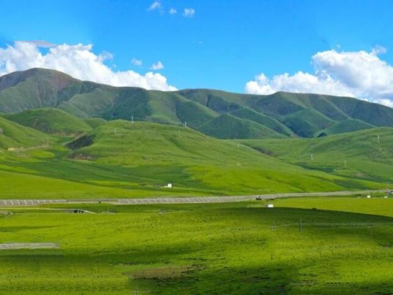 中国四大草原，呼伦贝尔大草原是民族大融合的象征
