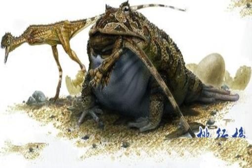 世界上只能生活在水中的青蛙,热带爪蟾（有发达的蹼）