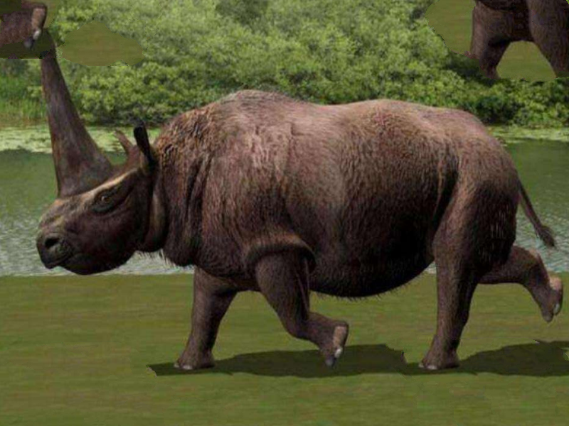 世界十大灭绝生物 史前生物霸王龙上榜，你认识几个