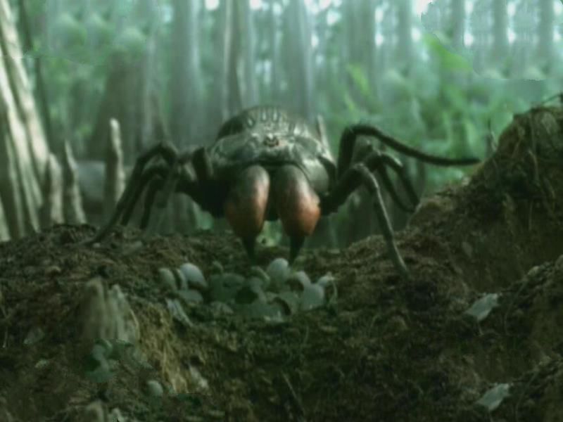石炭纪十大恐怖生物 揭晓石炭纪生物大灭绝真相