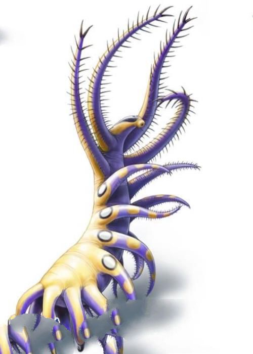 寒武纪十大恐怖生物：奇虾成地球霸主 恐龙是它晚辈