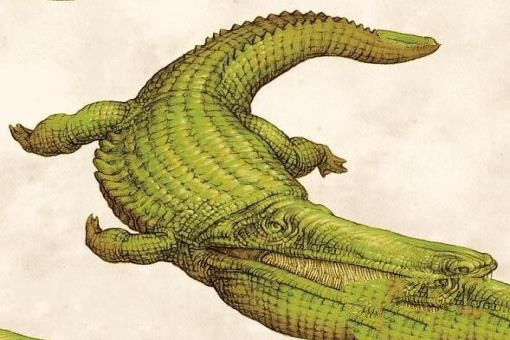 石炭纪十大恐怖生物 揭晓石炭纪生物大灭绝真相