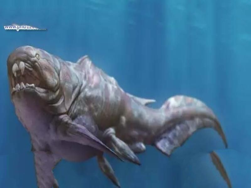 泥盆纪十大恐怖生物 揭开泥盆纪生物大灭绝的原因
