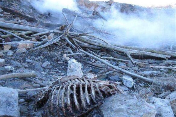 世界十大诡异的地方 地下墓穴全是骷髅，娃娃岛你敢去吗