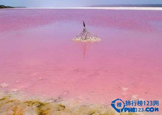 盘点世界上最美的海滩 粉色海滩带来梦幻味道