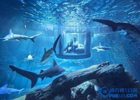 世界上最刺激的水下卧室：与鲨鱼零距离同眠