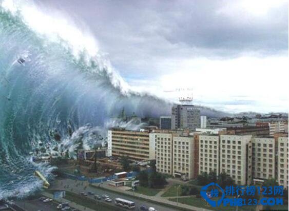 世界上最大的地震海啸——智利（最大震级为9.5级）