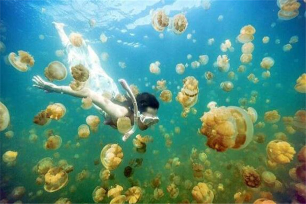 世界十大最奇特的湖泊 死海上榜，沸湖底下像有炉子在加热
