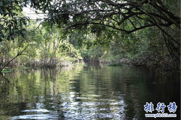 世界上面积最大的河，亚马逊河（流域面积705万平方千米）