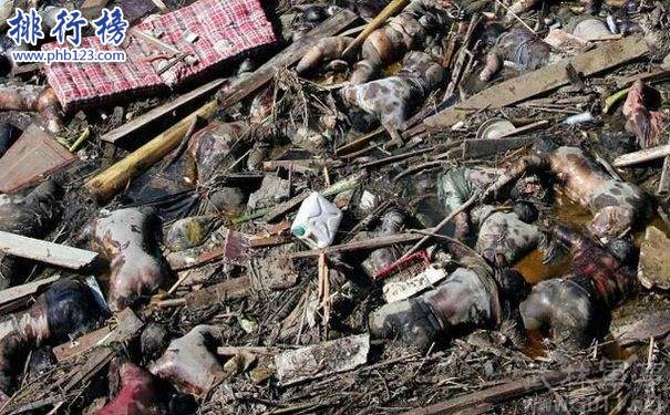 世界十大海啸排名,印度洋海啸死伤29万人(经济损失100亿美元)