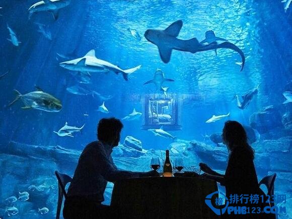 世界上最刺激的水下卧室：与鲨鱼零距离同眠