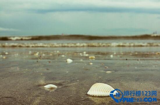 盘点世界上最美的海滩 粉色海滩带来梦幻味道