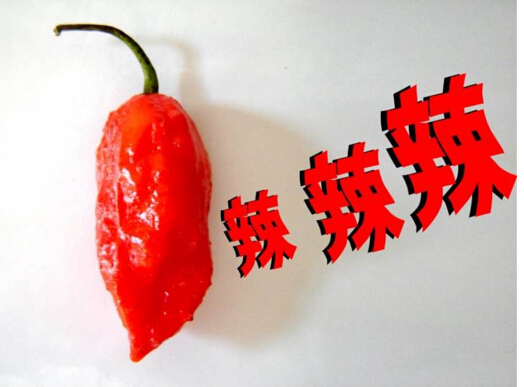 世界上最辣的泡面：挑战者辣到送医院（嘴巴辣肿）
