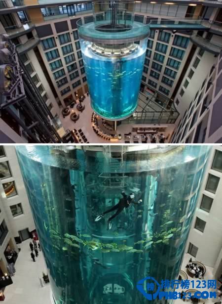 全球最另类的电梯 水族馆电梯可以这样玩