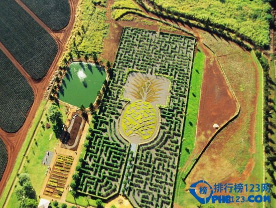 全球十大最梦幻花园迷宫排行榜