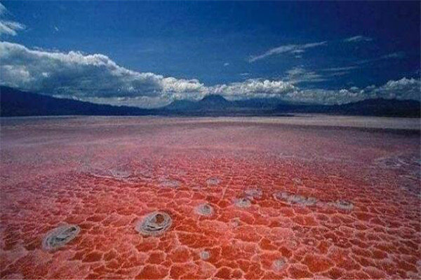 世界十大可怕的河 沸水河和开水没区别，第三有放射性物质