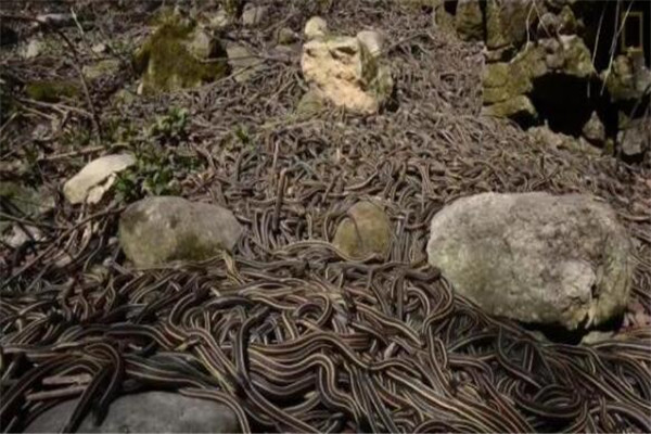 世界十大诡异的地方 地下墓穴全是骷髅，娃娃岛你敢去吗