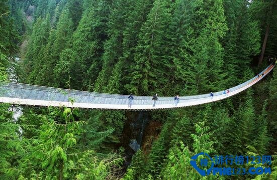世界上最惊险的桥 291米高度让人胆颤心惊